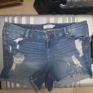 Torrid Blue Denim Jeans